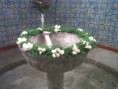 /album/batizados/img00476-20130119-1427-jpg/
