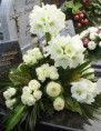 /album/arranjos-florais/a942710-490025577749264-274414505-n-jpg/